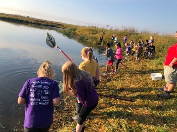 Students use nets to explore pond